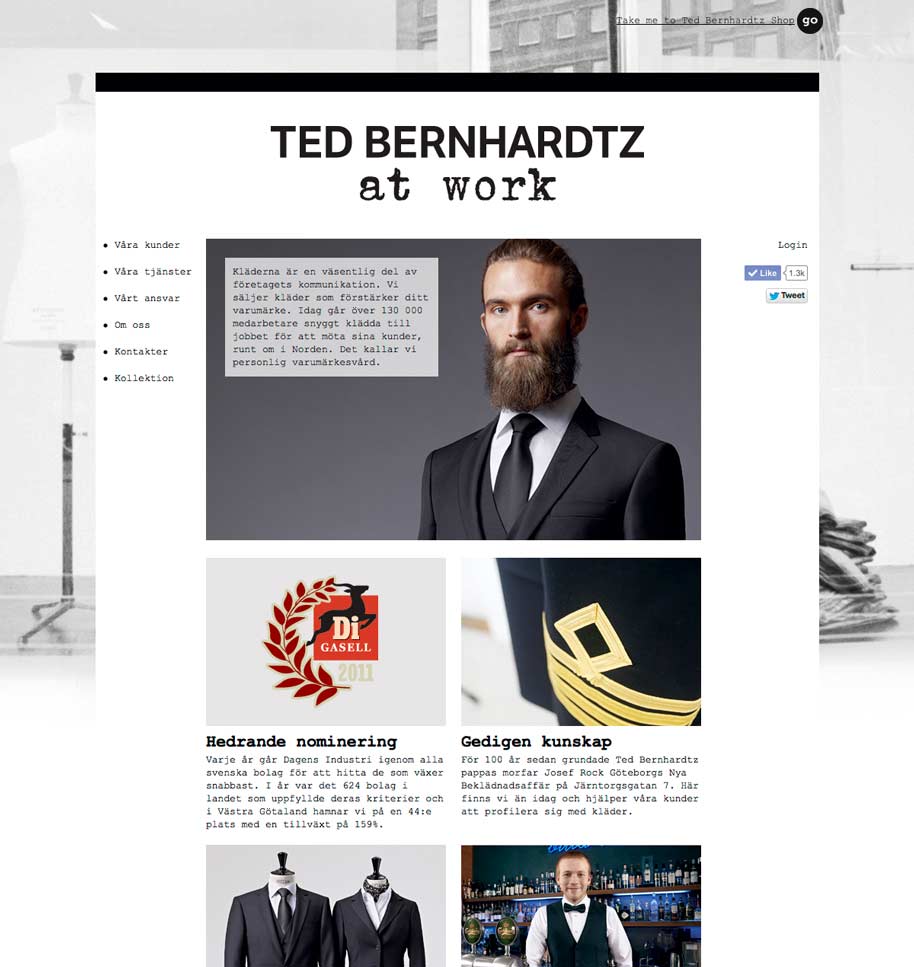Ted_b_at_work_website_01
