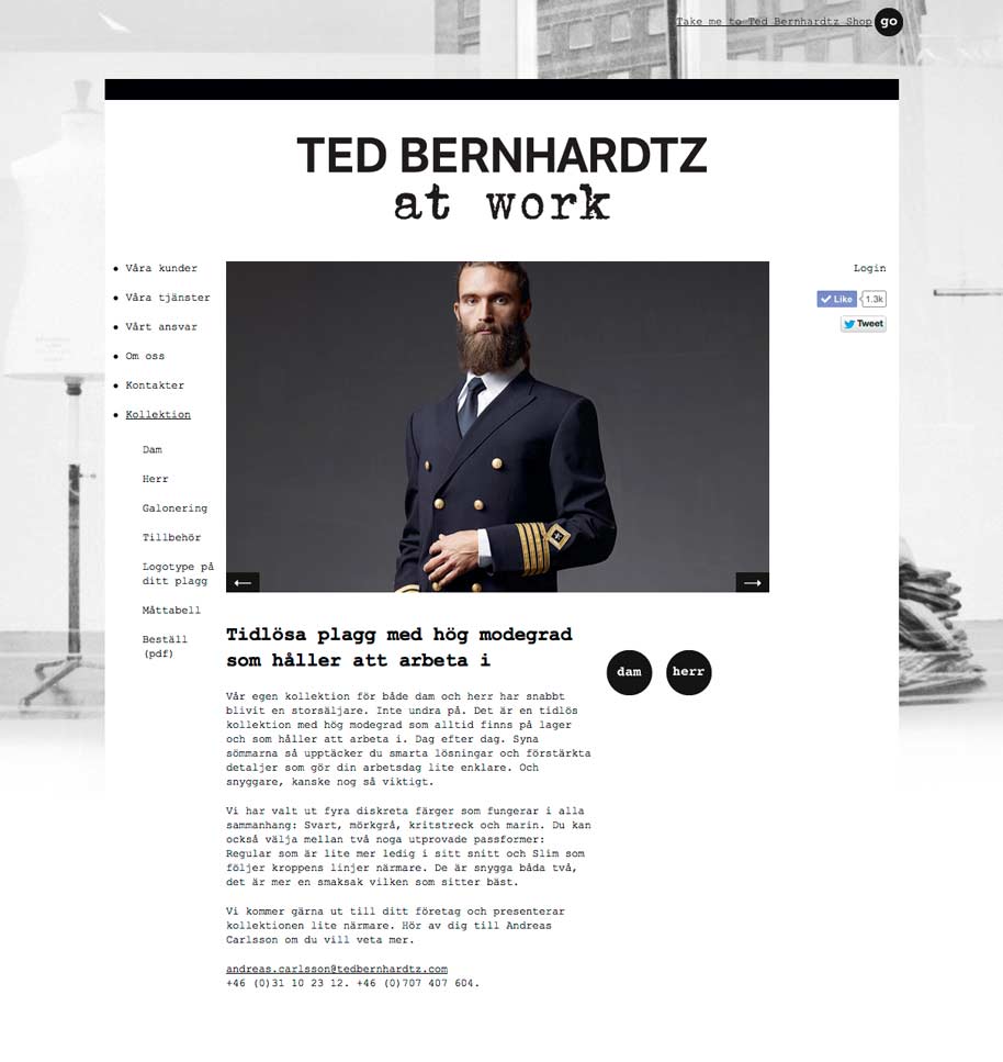 Ted_b_at_work_website_03