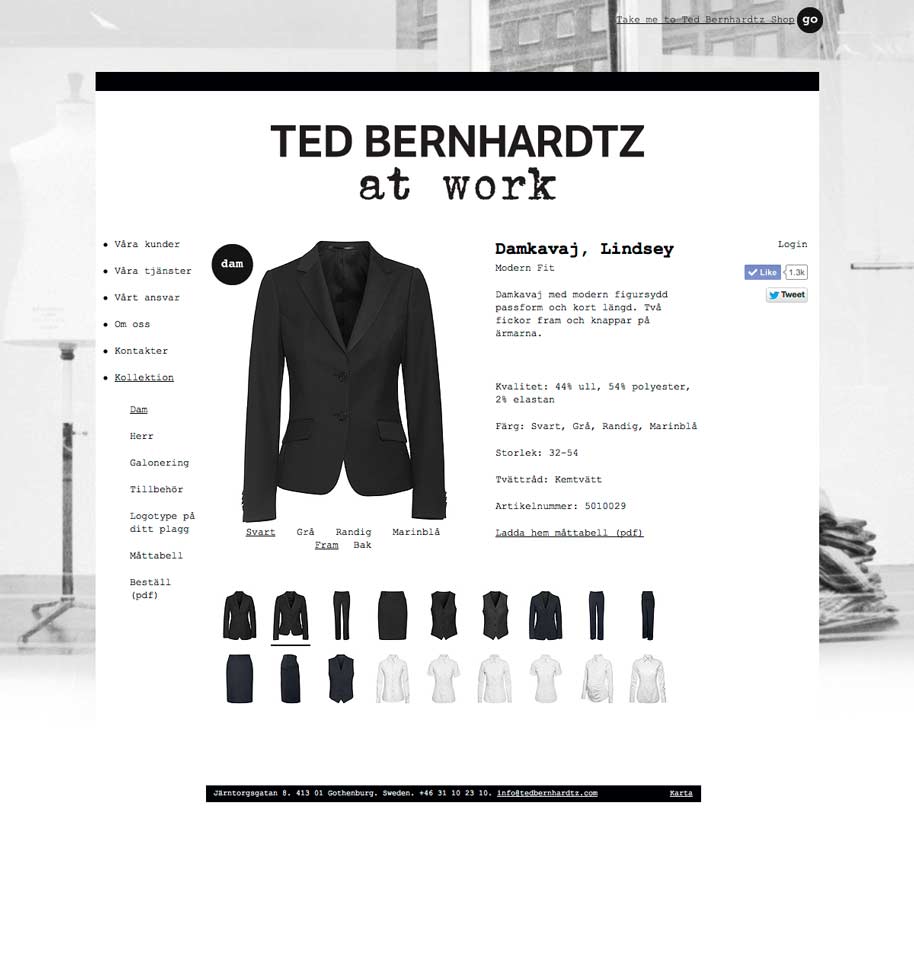 Ted_b_at_work_website_07