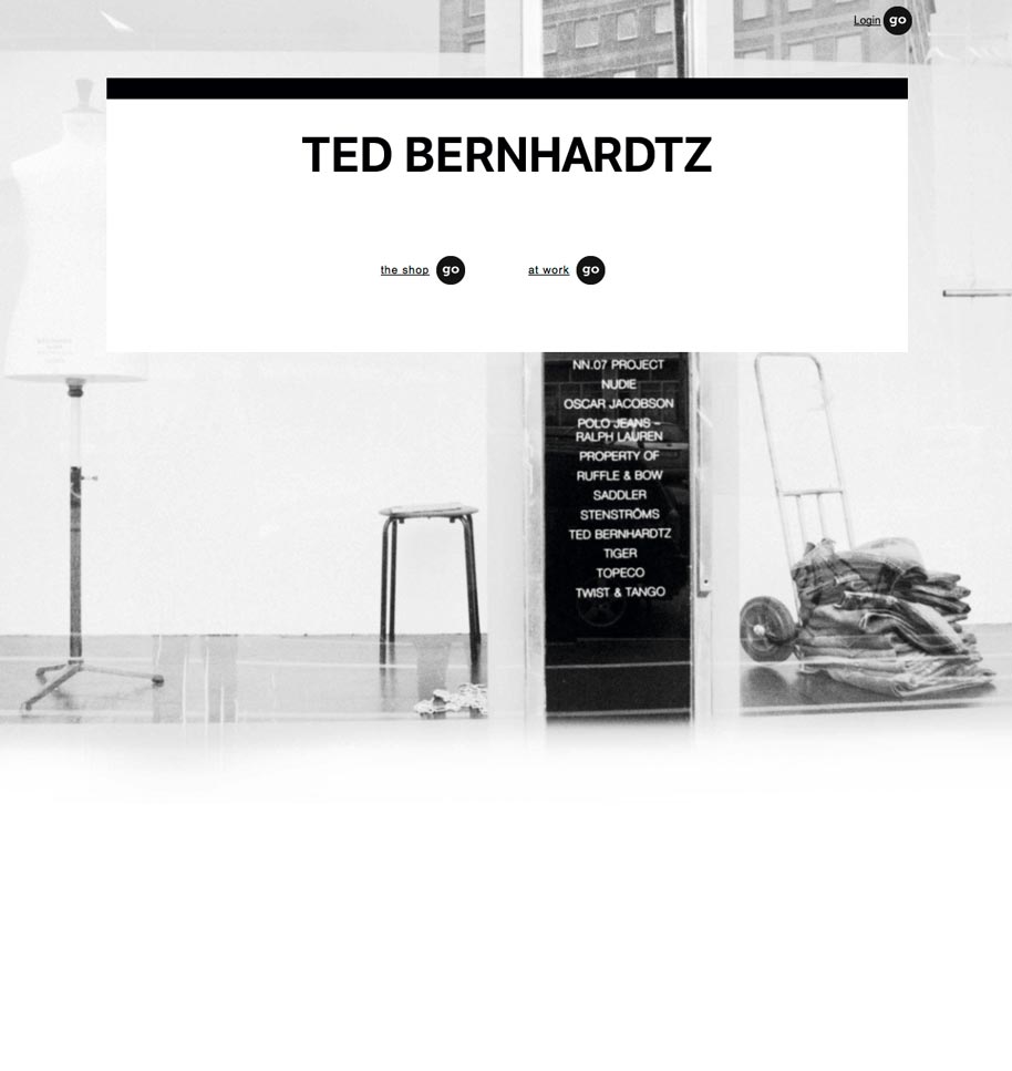 Ted_b_website_01