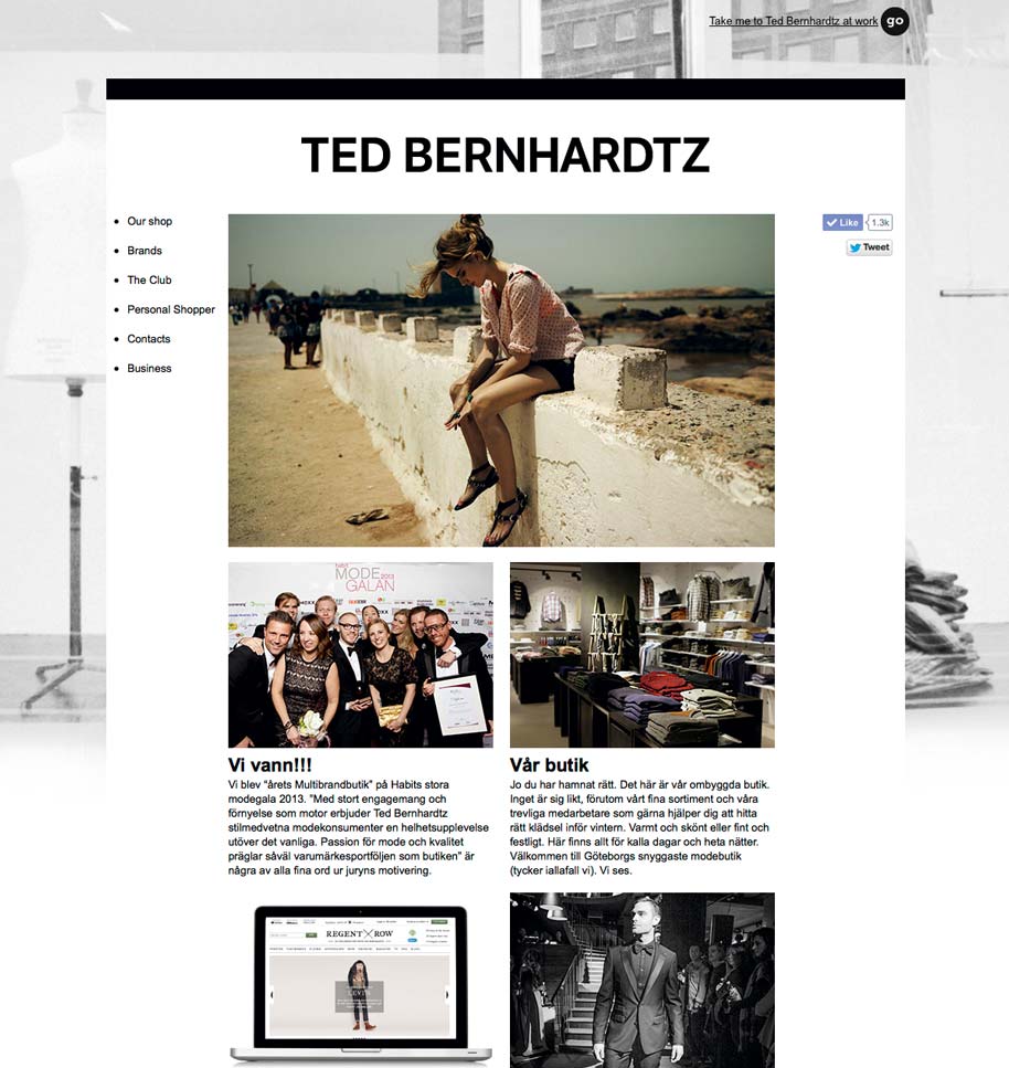 Ted_b_website_02